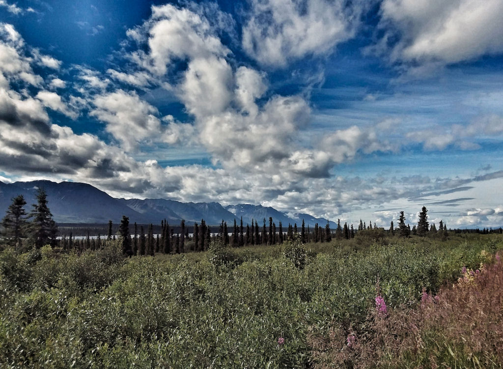 Nature In Class A By Karl Traichel For Off The Road In Alaska JAN-2019.jpg